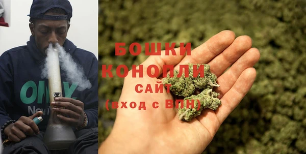 трава Нея