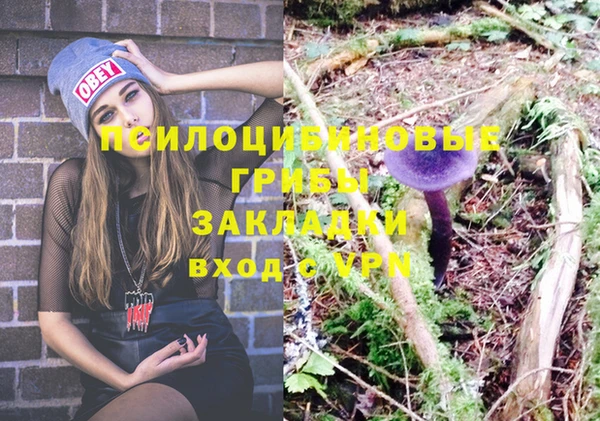 трава Нея