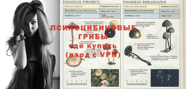 трава Нея