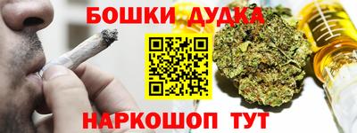 spice Кандалакша