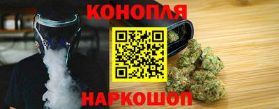 гидра Камышлов