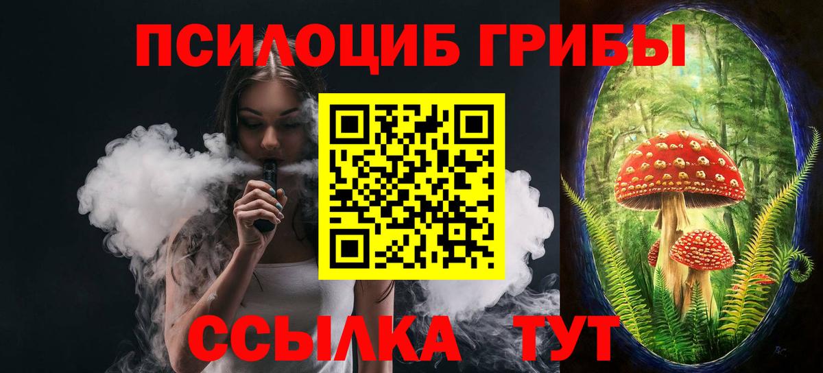 Галлюциногенные грибы Psilocybine cubensis  Вход с VPN  Сарапул  Псилоцибиновые грибы мицелий 