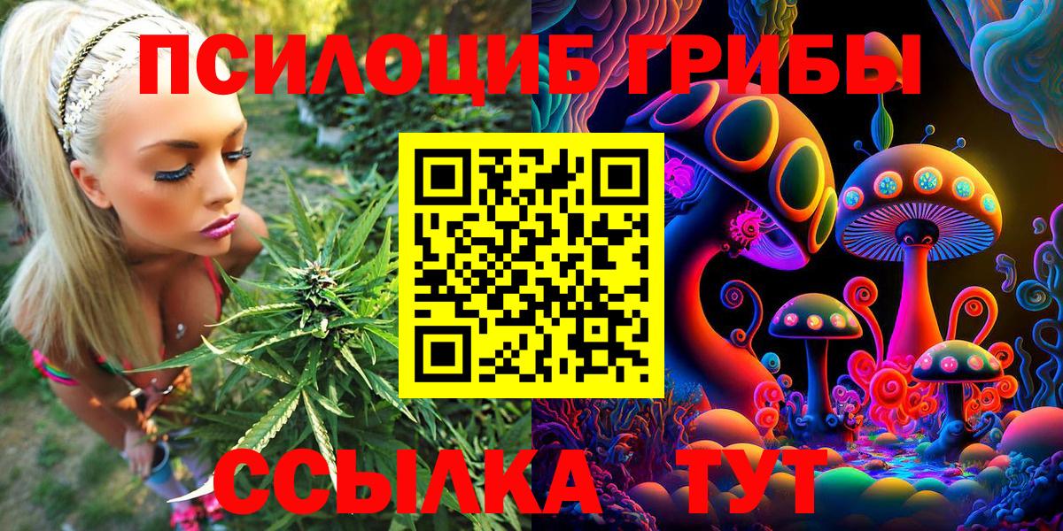 Галлюциногенные грибы GOLDEN TEACHER Сарапул